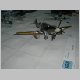 eday2007_91.jpg